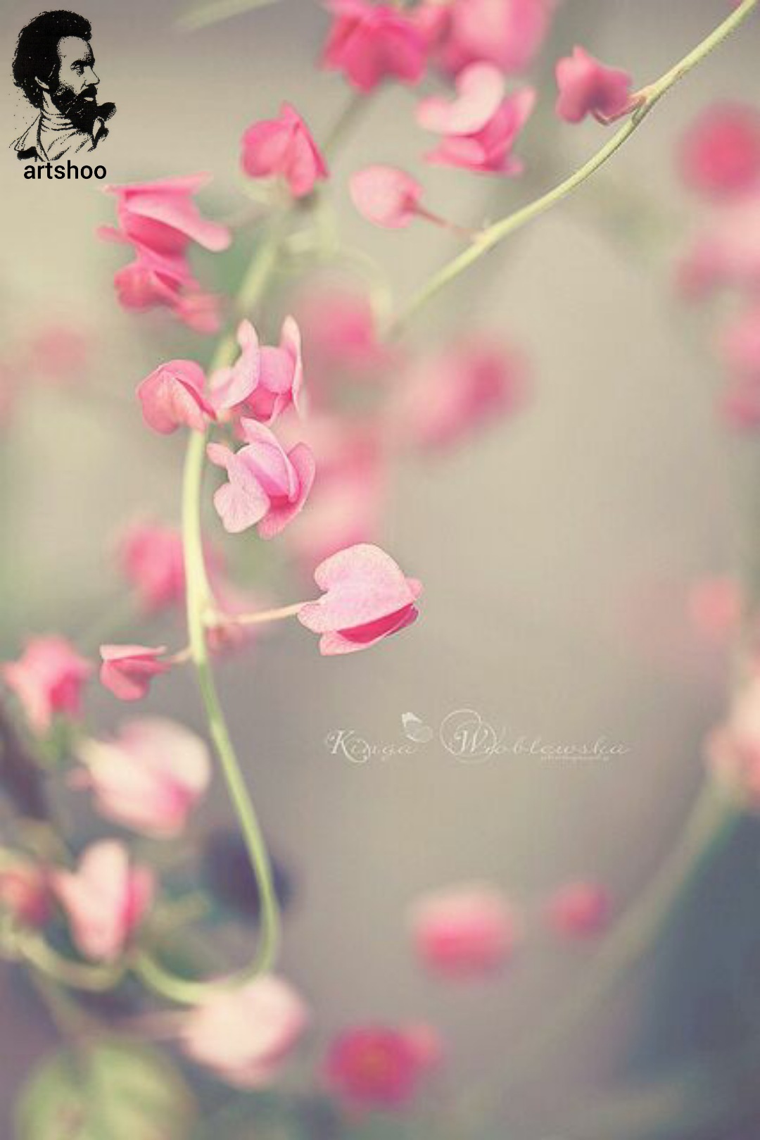 گل اورژینال رنگ روغن